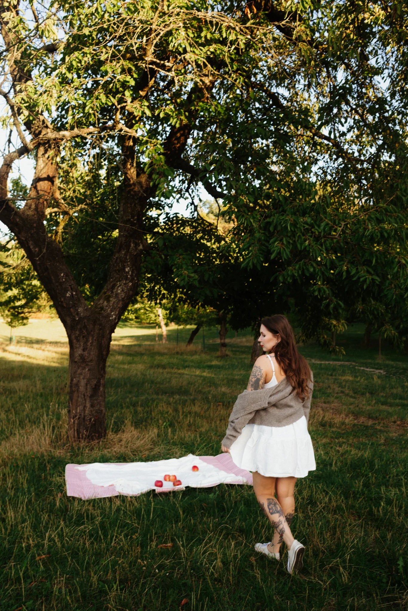 Žena přichází k piknikové dece s jablky pod rozložitým stromem